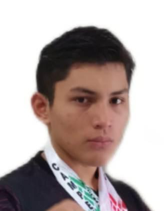 Raul Gabriel  Diaz Canche