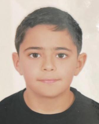 Ali Mohamed Hamad Abdallah  Alowais