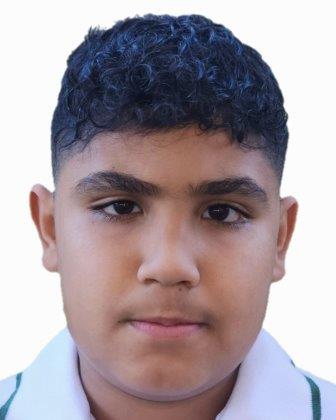 Mahmoud Saleh  El Chafihi