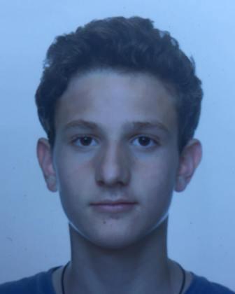 Theofilos-Alexandros  Papagianakis