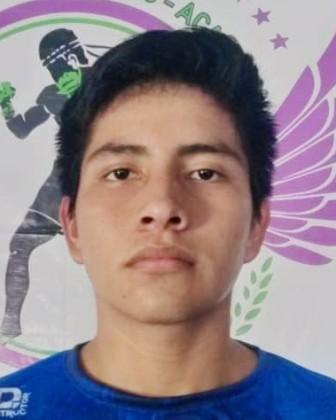 Alexis Jareth  Mendoza Morales