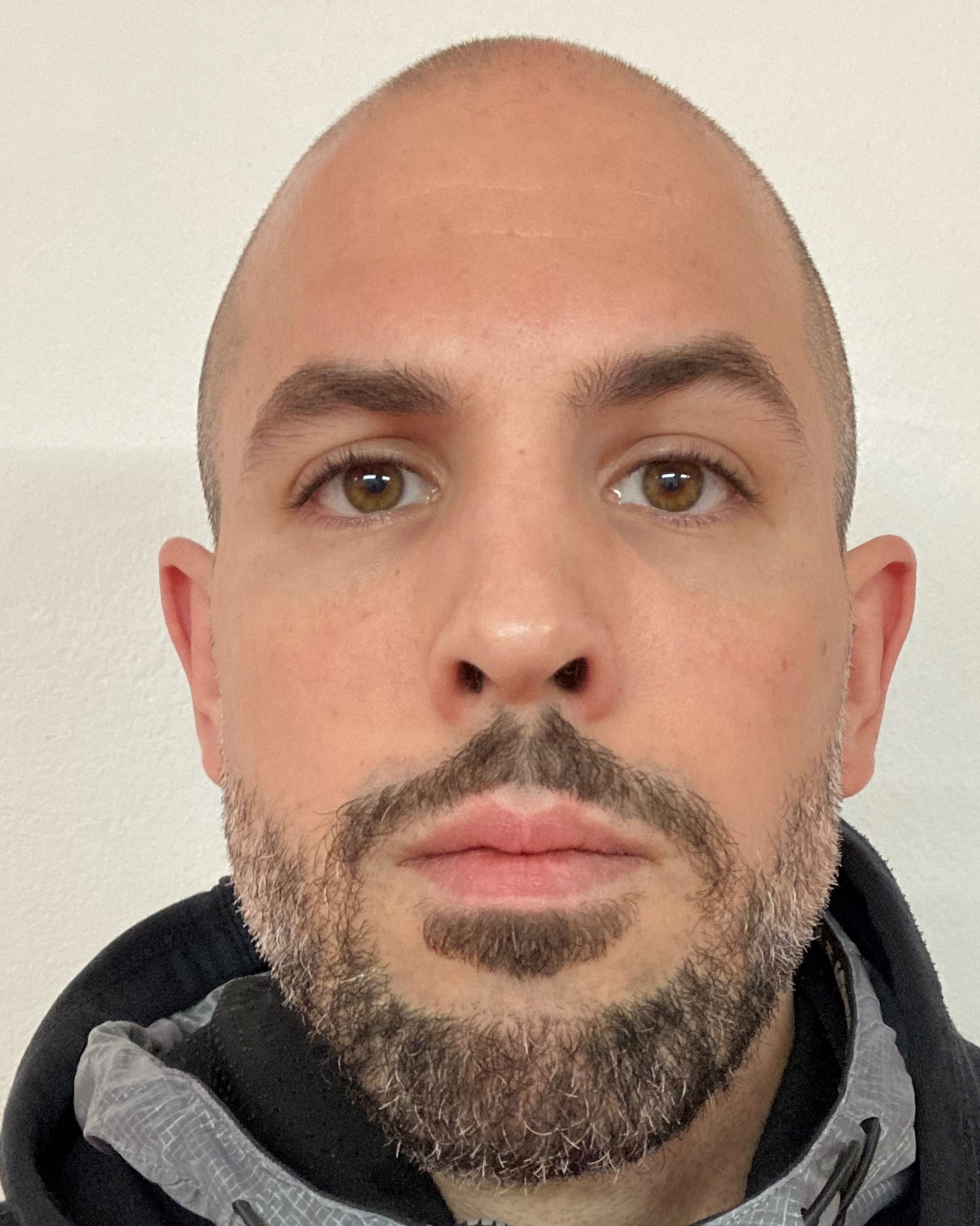 Fabrizio  Stabilito