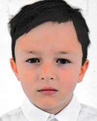 David Malik  Flügel