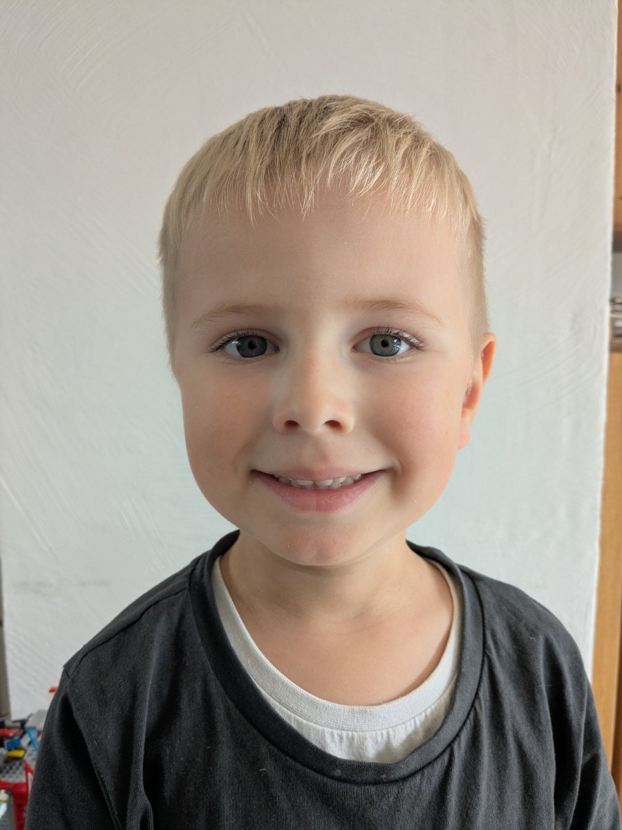 Theo  Hertfelder